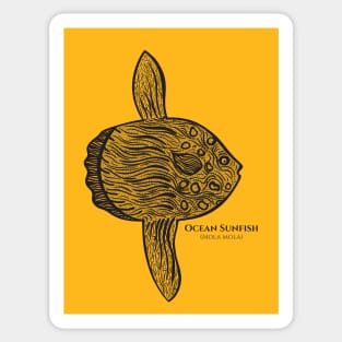 Ocean Sunfish with Common and Latin Names - hand drawn design Sticker